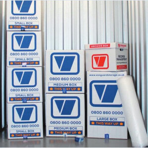 A photo showing a set of packing boxes and bubble wrap, available to buy from Vanguard's packing materials.