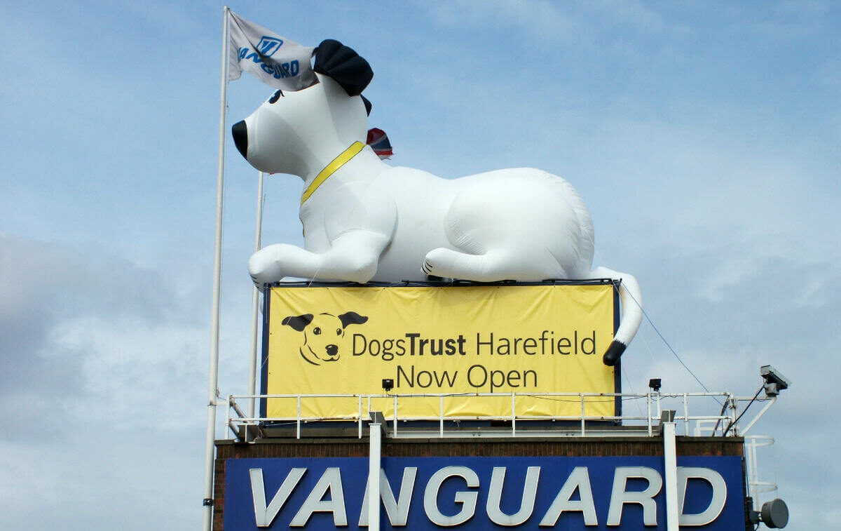 A photo showing a giant dog for the Dogs Trust placed on top of the tower at the Vanguard Self Storage branch in West London.