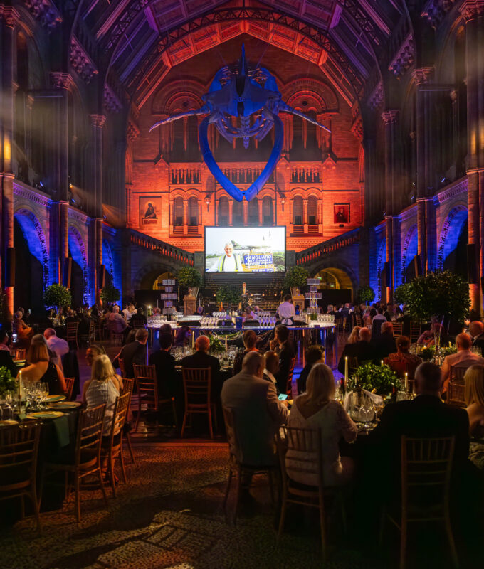 Vanguard60 Sam Churchill 4